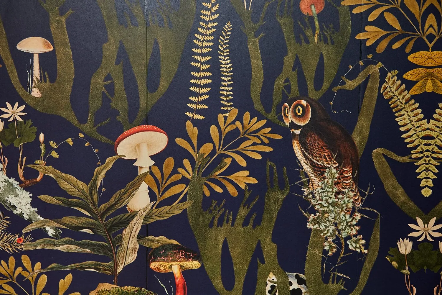 Detailed illustration of an owl perched among various ferns and mushrooms on a dark blue background, showcasing a blend of botanical elements and wildlife in a whimsical forest setting.