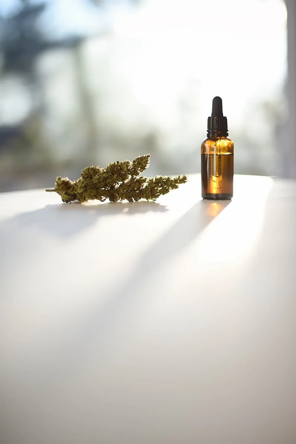 Amber glass dropper bottle with essential oil beside a sprig of dried herbs on a white surface, illuminated by soft natural light.