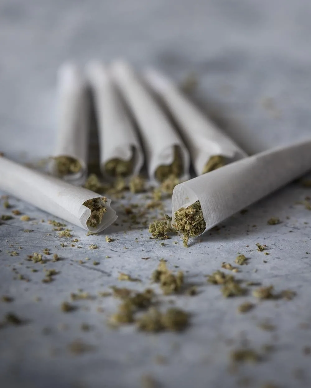 Close-up of several pre-rolled cannabis joints scattered on a gray surface, with loose cannabis flower around them, highlighting the texture and details of the rolled papers and the herb.