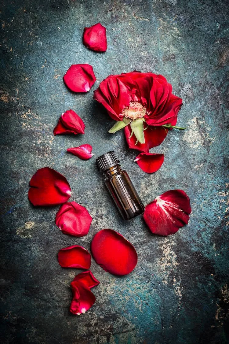 Aesthetic arrangement of red rose petals and a small amber glass bottle on a textured dark surface, ideal for promoting natural beauty products or essential oils.