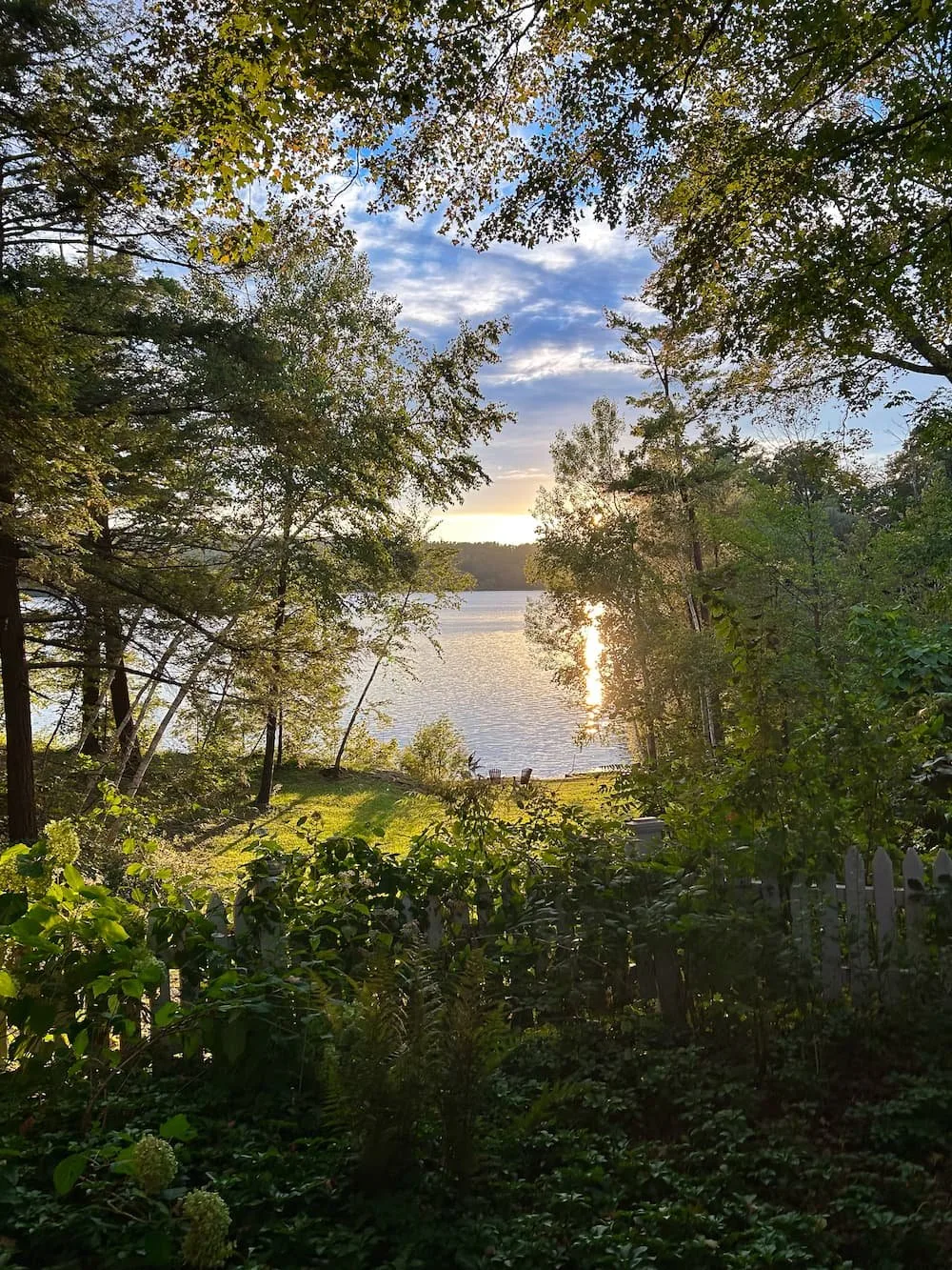 Scenic view of a tranquil lake surrounded by lush trees and greenery, reflecting the golden sunlight at sunset. The image captures a peaceful outdoor setting, ideal for nature enthusiasts and relaxation.