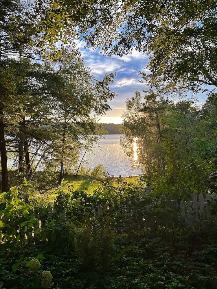 Peaceful lakeside view at sunset framed by lush green trees and foliage with sunlight reflecting on the water